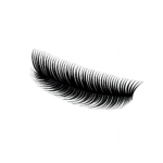Ciglia