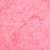 01 Dream Coral